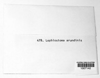 Sigarispora arundinis image